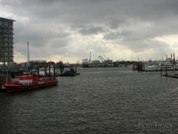 DSCN1926