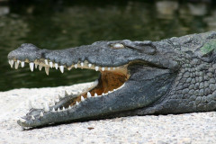 Zoo Basel 2005