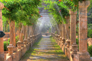 Mallorca 2013 - Die Gärten von Alfabia