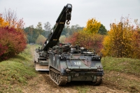 Bergepanzer Büffel